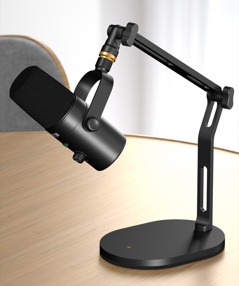 Foldable Desktop Microphone St - Microphone Arm Boom 评论和价格
